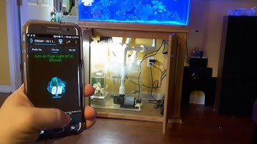 Simply Reef Controller Testing