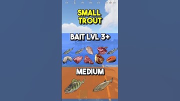 Laat alles roesten wat je met je hengel kunt vangen!