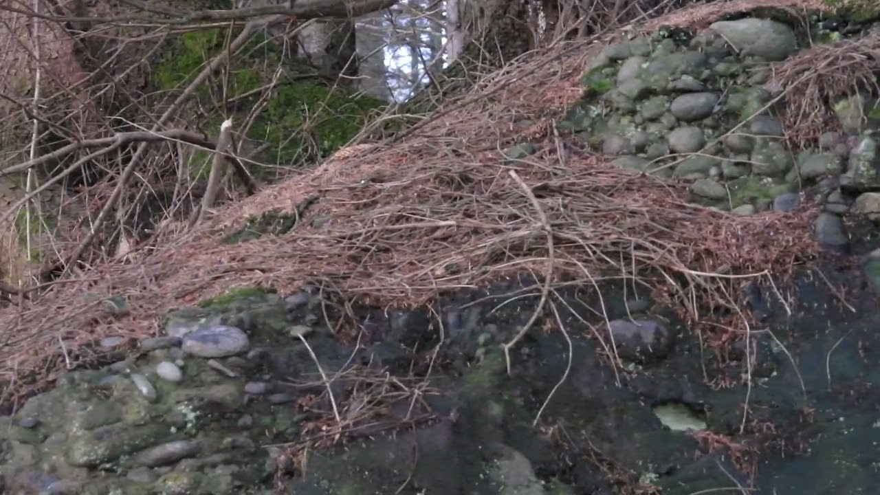 The Scottish Hills. Braeval.