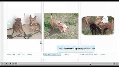 Update your Profile Photo in meetup.com
