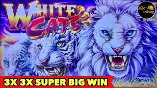 ⭐️KONAMI WHITE CATS SUPER BIG WIN⭐️Explore to Grand Portage Casino | 39 Mins Away From CANADA Border