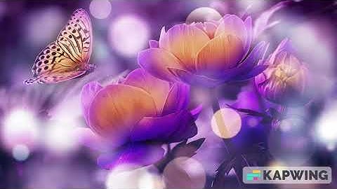 Demo Track – Butterfly