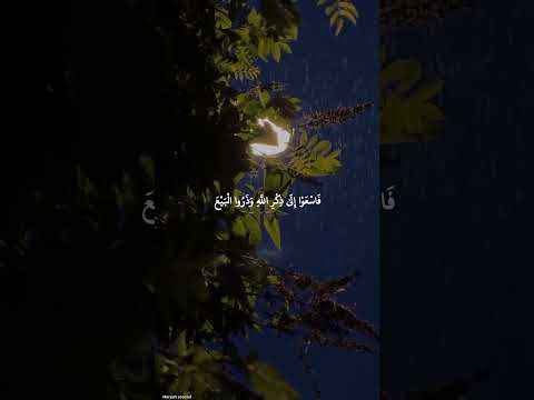 ه و خ ير م ن وط ئ الث رى ط وبى لمن ص لى ع ليه وأكث راﷺ اشتراك بالقناة لايك حالات واتس تصميمي