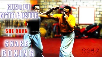 Kung Fu Myth Buster!! How to Apply Snake Boxing!!