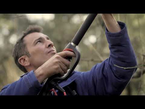 FELCO POWER BLADE SERIES VIDEO 2019   PT Embedded Video: <iframe width=