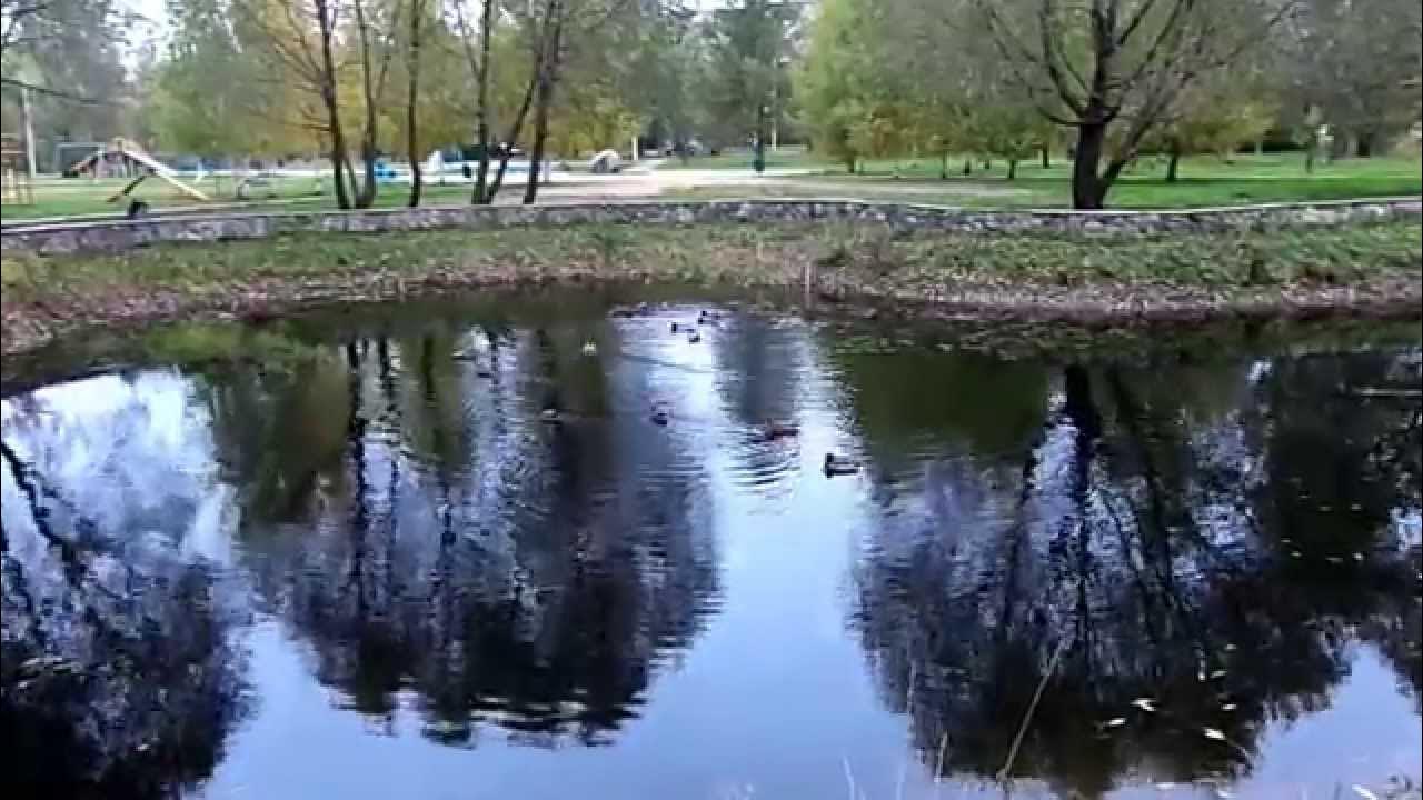 Чкаловский пруд Переславль