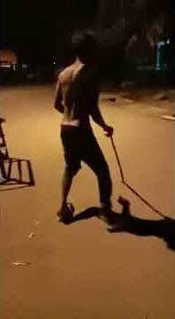 Cicak rowo dowo buntut e 😂😂