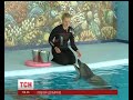 Дельфіни котрі зникли на Вінниччині знайшлися у Трускавці на Львівщині Дельфіни котрі зникли на Вінниччині знайшлися у Трускавці на Львівщині