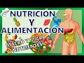 CONCEPTOS BÁSICOS DE NUTRICIÓN Y ALIMENTACIÓN | GuiaMed