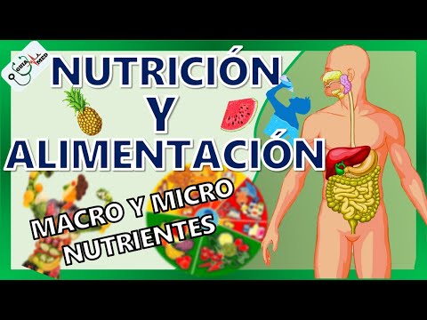 Video: Nutrición Adecuada: Disposiciones Básicas