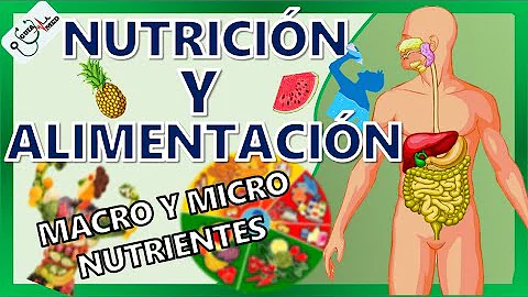 ¿Qué es más nutritivo