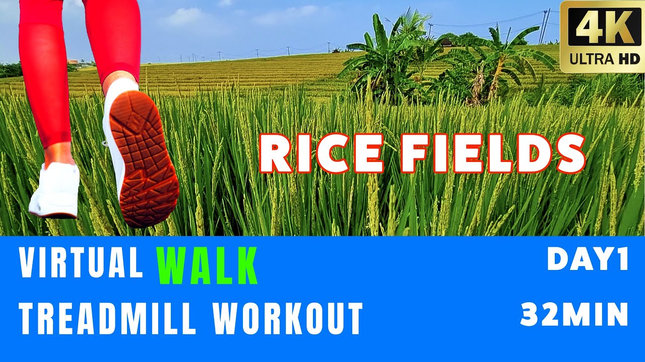 BALI Virtual Walking tour [4K] Virtual Walking Videos Treadmill Workout Scenery YouTube