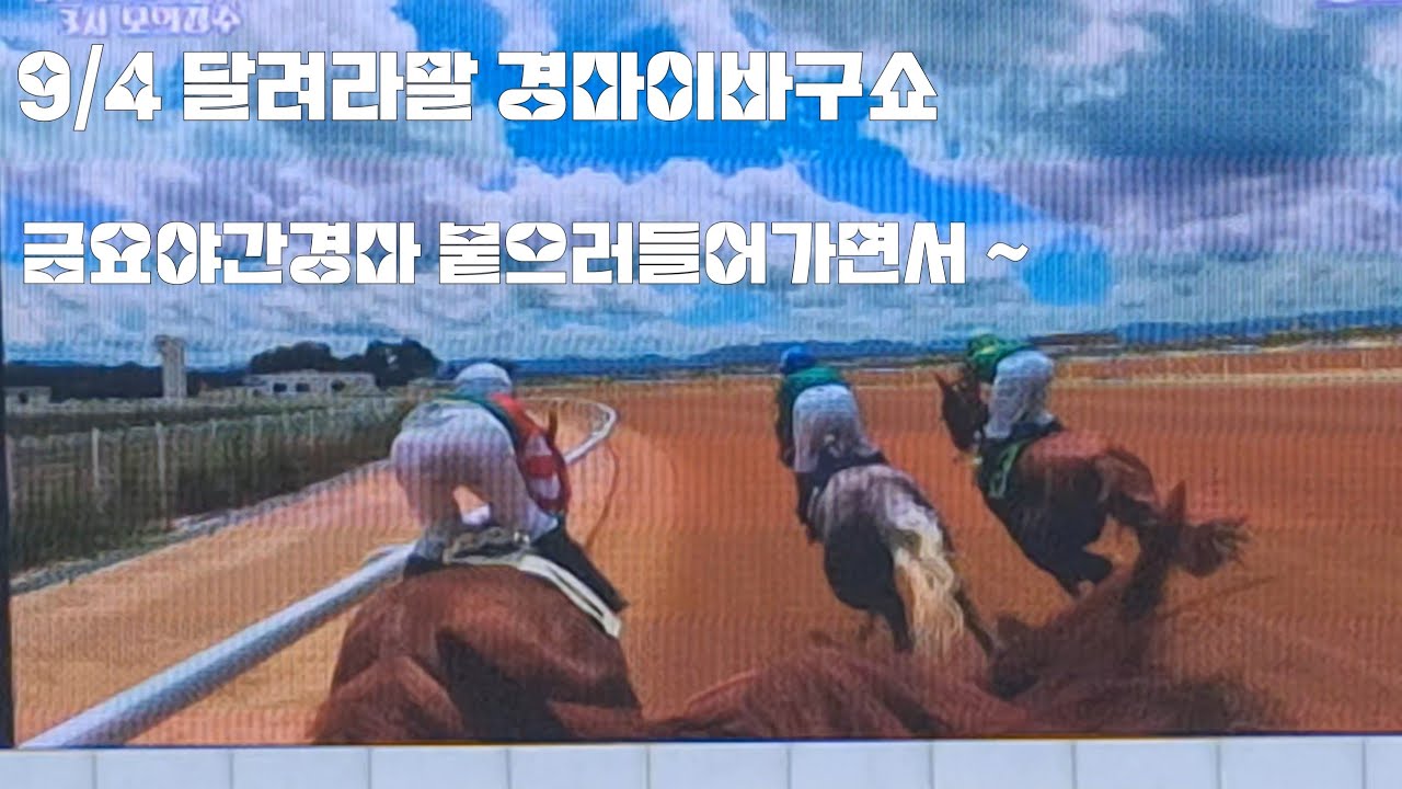 코라아컵.스프린트/토요경마 혼전경주/(금요야간경마 붙으러들어가면서~)