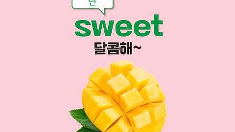 Taste song 맛 쏭! 시사 최 6학년 What would you like to have?