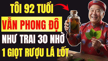 Cách Ngâm Rượu Lá Lốt Giúp Tăng Cường Sinh Lý Nam Khỏe Như 30