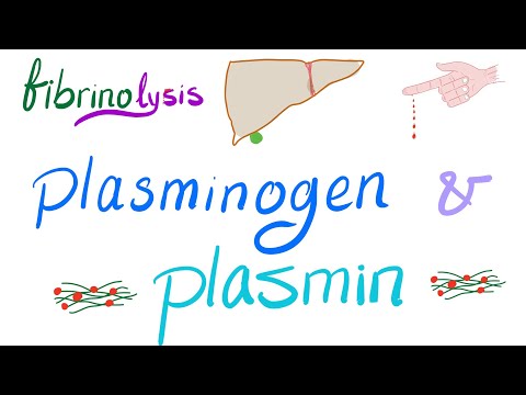 Video: Fibrinolysin - Instruktioner För Användning, Pris, Recensioner, Analoger
