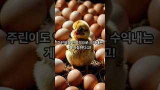 상승장에서 안정적으로 수익낼수 있을까?