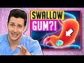 The TRUTH About Swallowing Gum | Responding To Comments #16