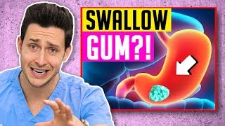 The TRUTH About Swallowing Gum | Responding To Comments #16