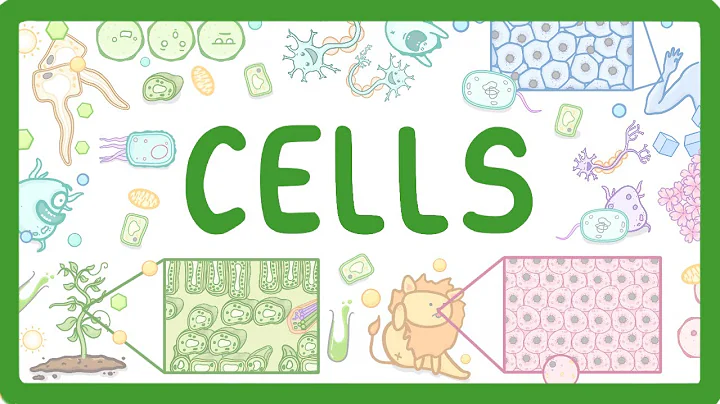 GCSE Biology - Cell Types and Cell Structure (2026/27 exams)