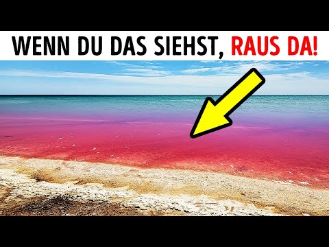 Video: Warum ist das Meerwasser rot?