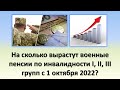 На сколько вырастут военные пенсии по инвалидности 1, 2 и 3 группы, с 1 сентября 2022 года?