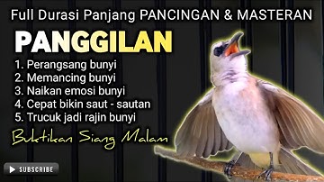 🔴 24/7 LIVE TRUCUKAN GACOR MEMANGGIL || pancingan, masteran terbaik untuk trucuk dan burung lainya