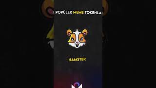 En Popüler $Meme Tokenlar