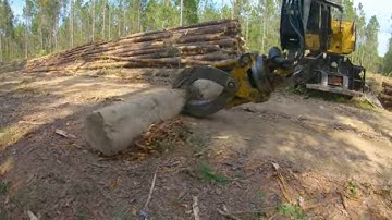 Pine First Thinning Logging & Major Break Down For Tigercat 234B