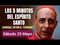 🔥 LOS CINCO MINUTOS DEL ESPÍRITU SANTO.  SÁBADO 25 MAYO 2024. CARDENAL VÍCTOR M.  FERNÁNDEZ 🔥