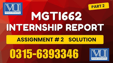MGTI662 Assignment 2 solution fall 2025 #mgti662 #internship