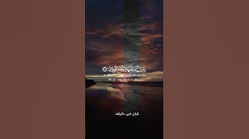 قران كريم ارح قلبك وسمعك الشيخ #quran #قران #yasseraldossary #المصحف #رعد_الكردي @قران_في_دقيقة