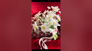 𝑁𝑖𝑛ℎ 𝐷𝑢̛𝑜̛𝑛𝑔 𝐿𝑎𝑛 𝑁𝑔𝑜̣𝑐 𝑥  𝑂ℎ𝑎𝑟𝑎 𝐻𝑜𝑚𝑒 𝑥 𝐸𝑙𝑝𝑖𝑠