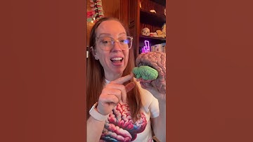 Neurosurgeon explains the fencing posture and Trevor Lawrence‘s head injury ￼