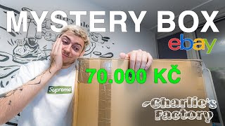 OTEVÍRÁM SNEAKERS MYSTERY BOX ZA 70.000KČ?! (ebay edice)