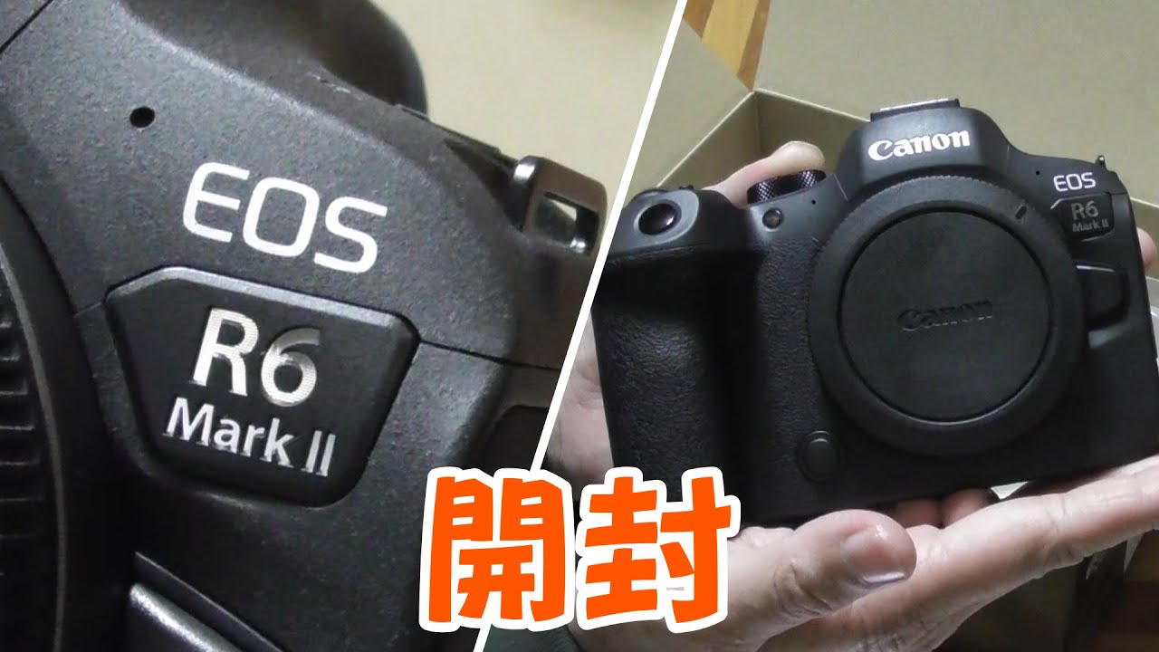 元箱付き！■ほぼ新品■CANON EOS R6 MarkII Canon EOS R6 Mark II Mirrorless Camera with RF24 105mm f/4 7.1 IS
