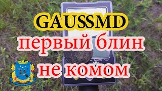 Gauss MD. Первые впечатления, первые находки.