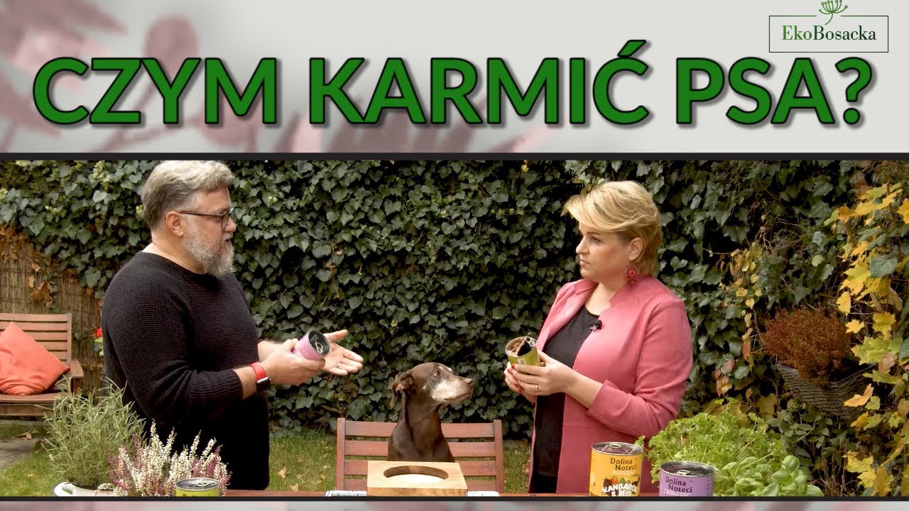 Czym karmić psa? - EkoBosacka, odc. 115