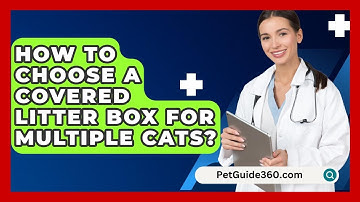 How To Choose A Covered Litter Box For Multiple Cats? - PetGuide360.com