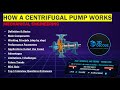How a Centrifugal Pump Works | Easy Engineering Explanation | 3D DECODE