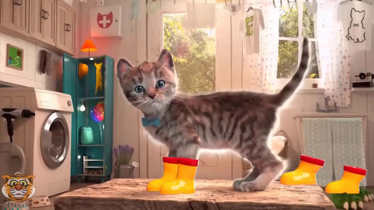 Kucing Lucu  Animasi  Game Edukasi Film Kartun Anak  YouTube