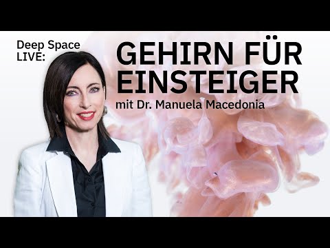 Deep Space LIVE: Gehirn für Einsteiger