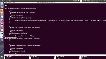 My laravel controller and model on console