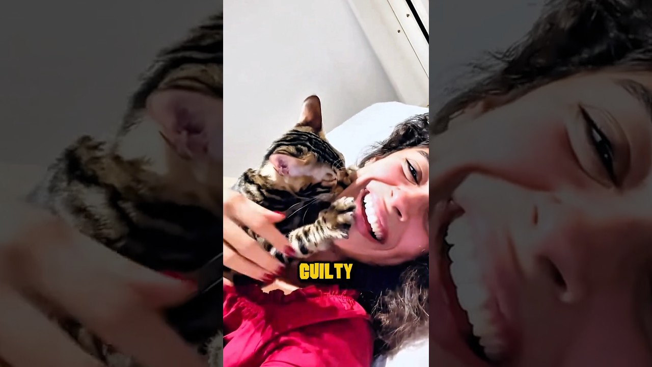 Why Cats Lick 😽Your Face 