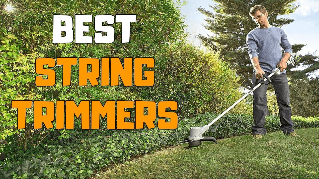 best lawn trimmers 2020