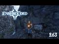 Wer soll bitte da drauf kommen??? | Enshrouded | 263
