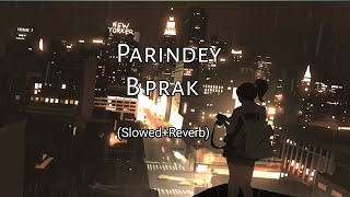 Parindey B prak new lo-fi ( Slowed+Reverb)song 2024