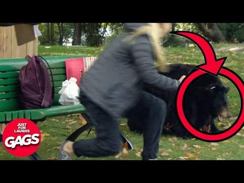 Best Of Wildlife Pranks | Just For Laughs Gags