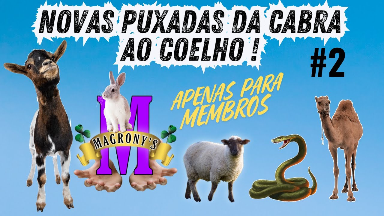 NOVAS PUXADAS DA CABRA, CARNEIRO, CAMELO COBRA E COELHO-PALPITES DO ...