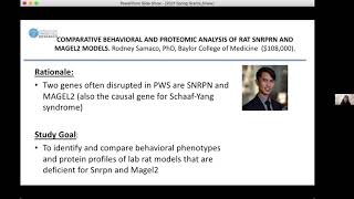COMPARATIVE BEHAVIORAL AND PROTEOMIC ANALYSIS OF RAT SNRPRN AND MAGEL2 MODELS.